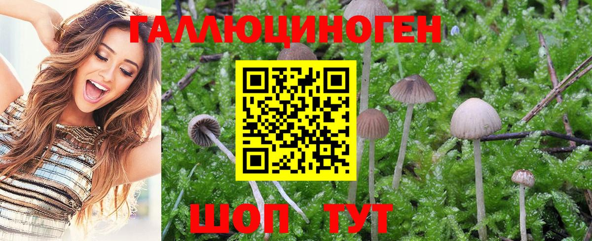 Галлюциногенные грибы MAGIC MUSHROOMS Баксан