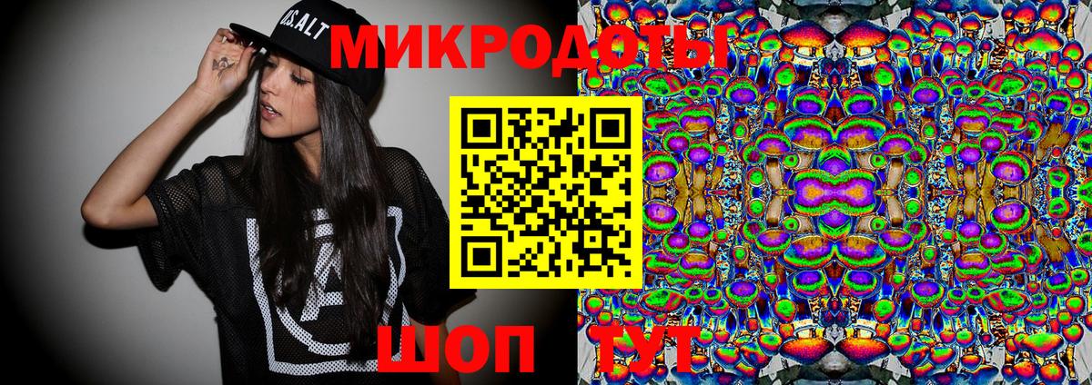 Баксан  Псилоцибиновые грибы Psilocybine cubensis  Вход с VPN 