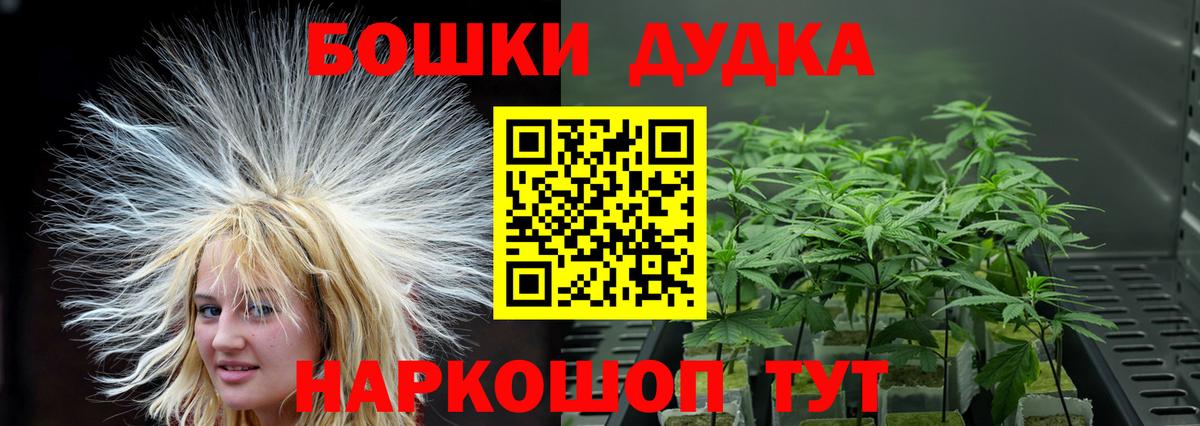 Бошки марихуана план Баксан